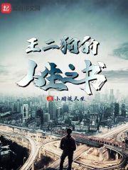 王二狗的人生之书