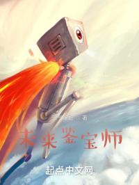 未来鉴宝师