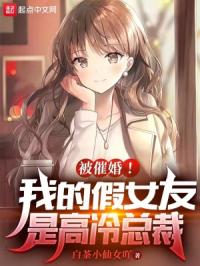 被催婚！我的假女友是高冷总裁