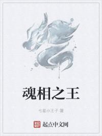 魂相之王