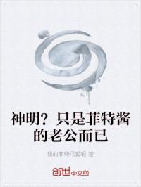 神明？只是菲特酱的老公而已